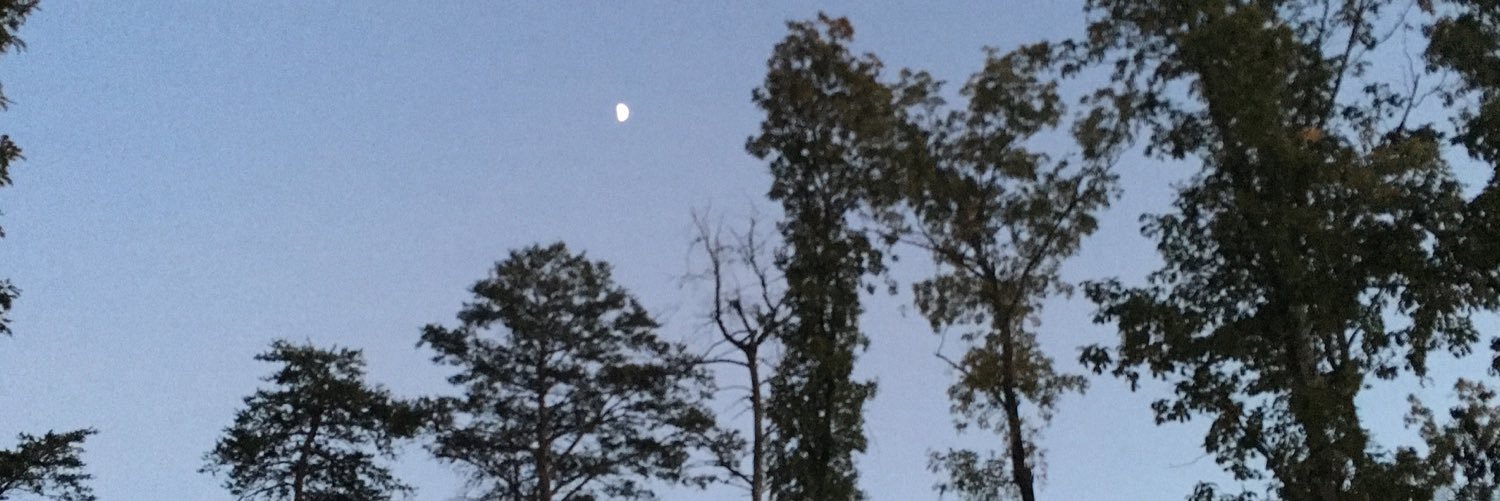 swampler4321's profile banner image