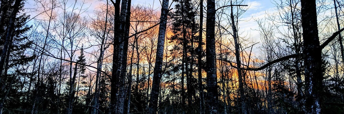 DrewThompson04's profile banner image