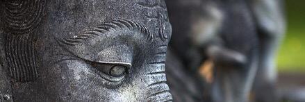 YusufSWilson's profile banner image