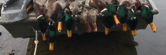 CarsonPickard's profile banner image