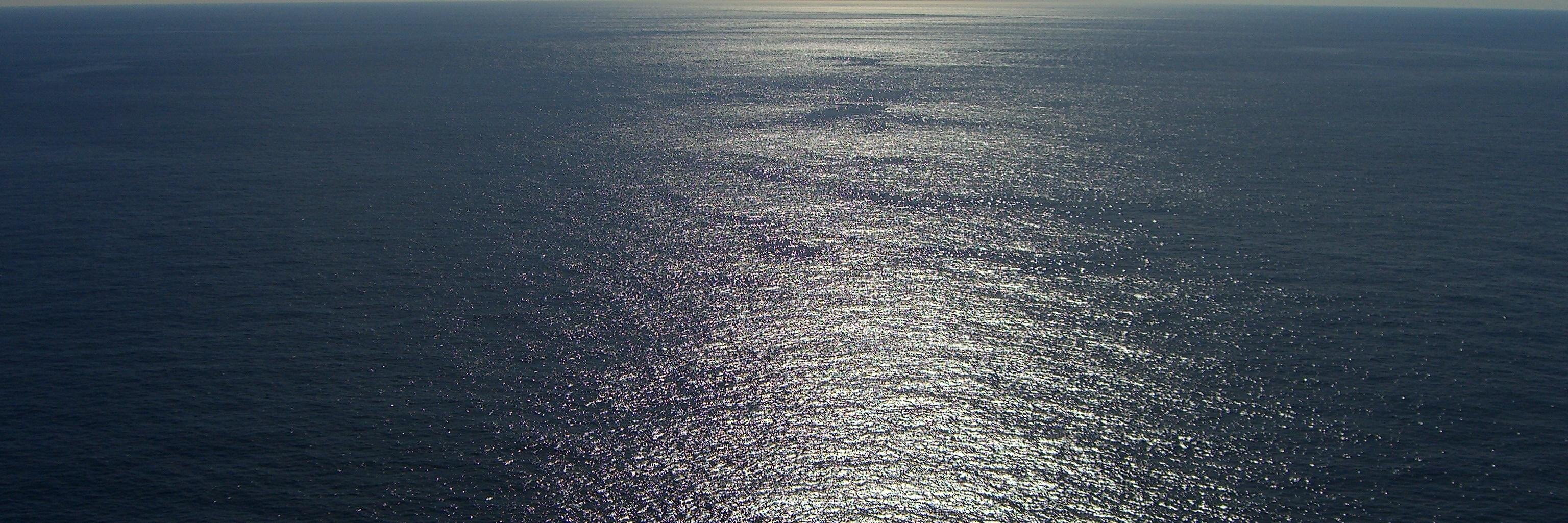 Neil Sandell @neilsandell.bsky.social banner