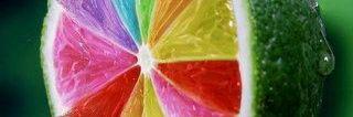 Tandra Evans banner