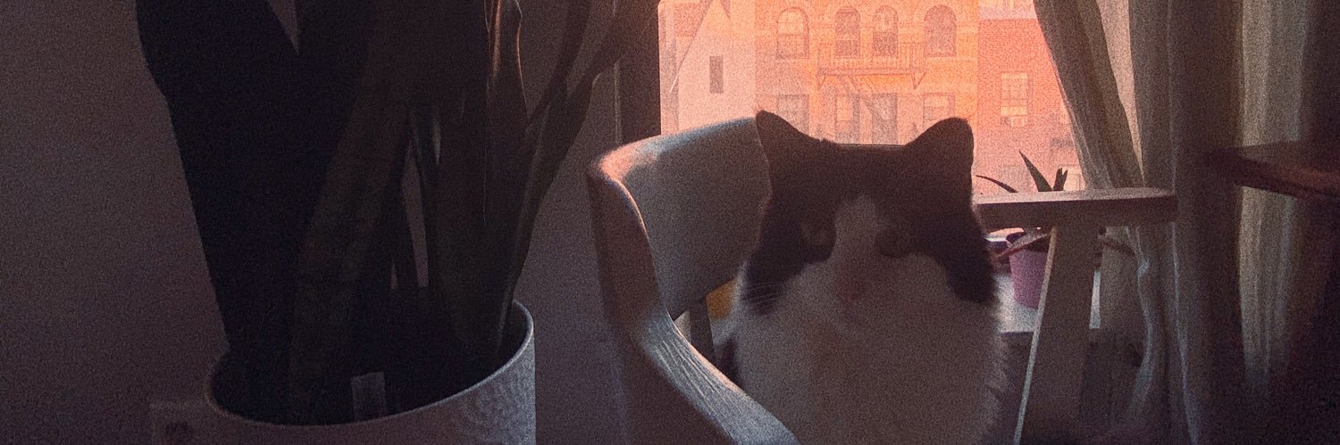laurencrosslin's profile banner image