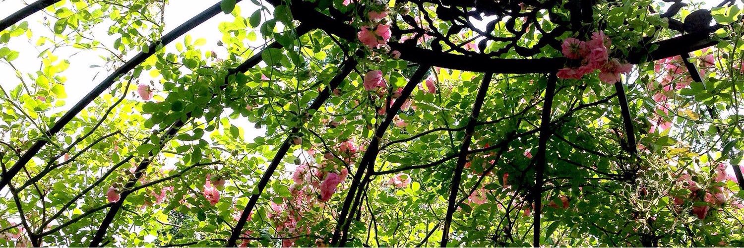 Lakritztee's profile banner image