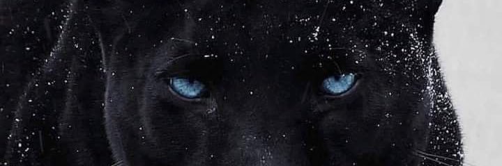 Low banner