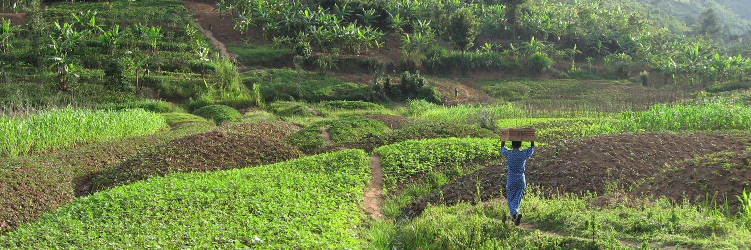 Emmanuel d'Harcourt banner