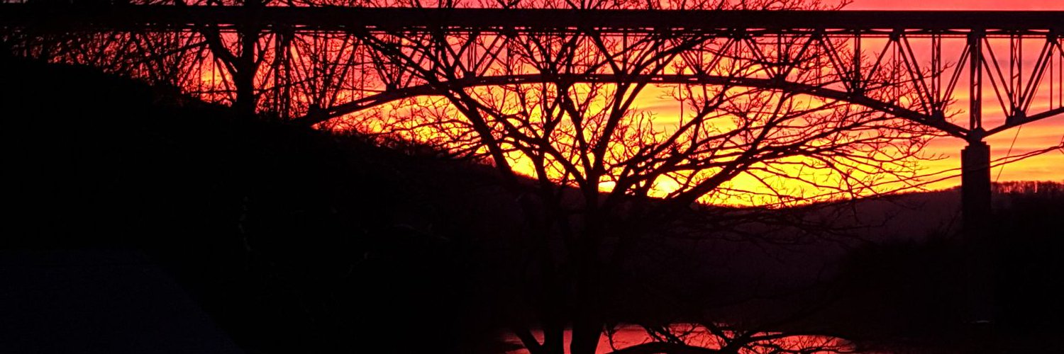 RJFox1's profile banner image