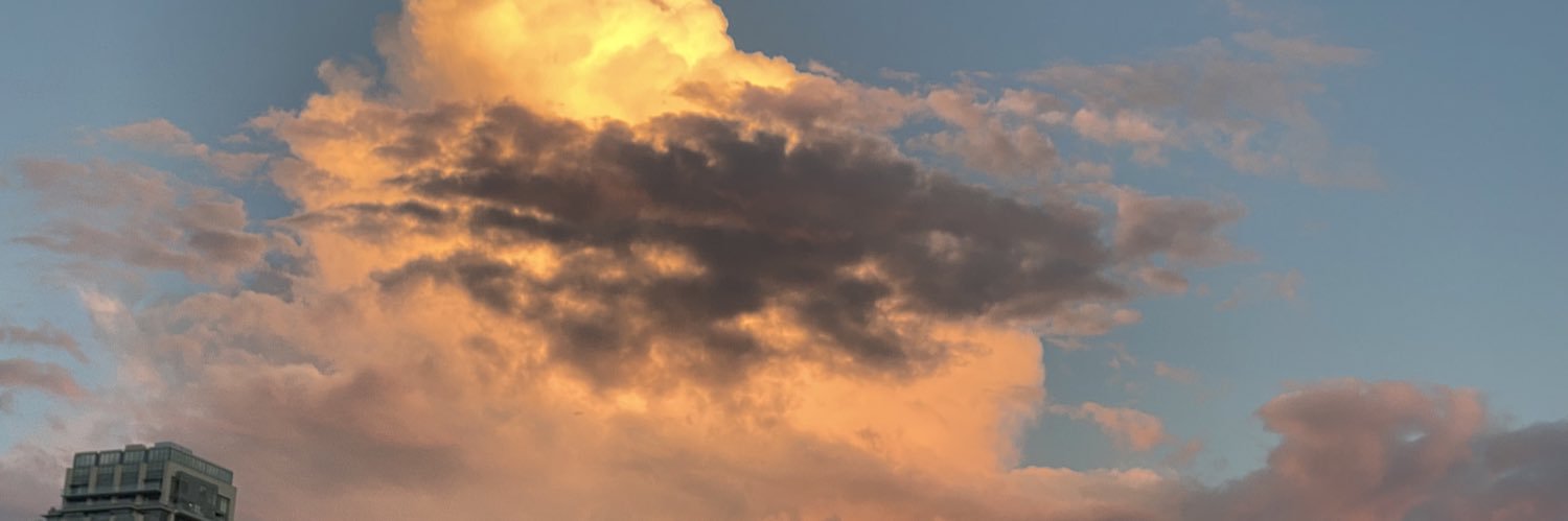 dogs4lyfe_'s profile banner image