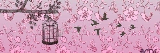 AcDoSonho's profile banner image