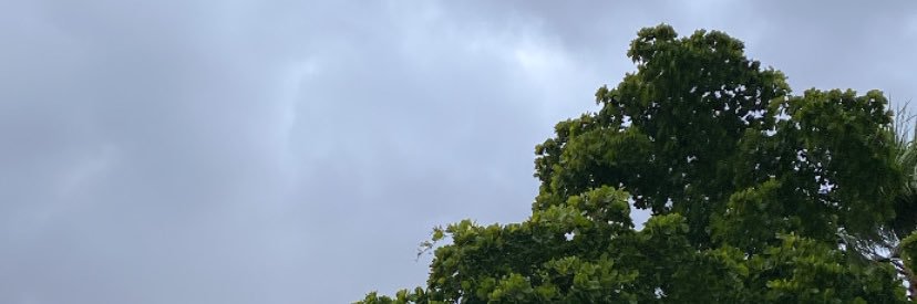 ernxgar's profile banner image