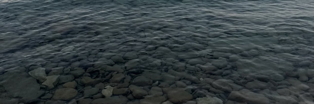 daud614's profile banner image