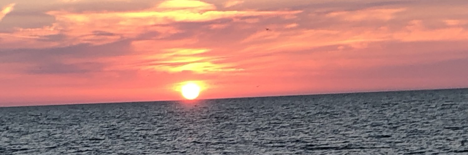 annlanncan's profile banner image