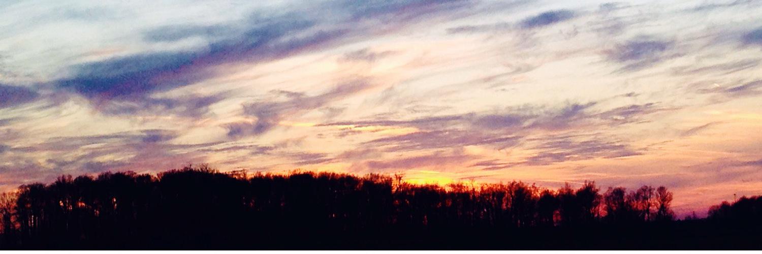 megcasler12's profile banner image