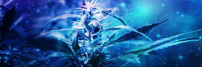 mabo0904545's profile banner image