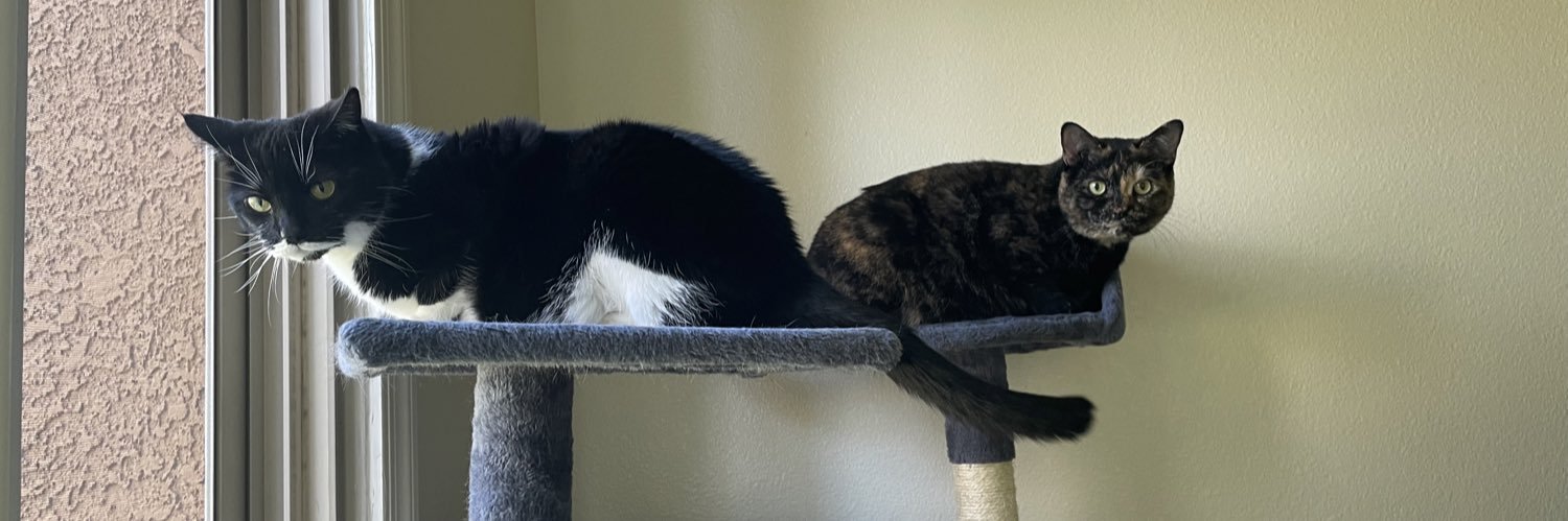 KaitlynORourke2's profile banner image
