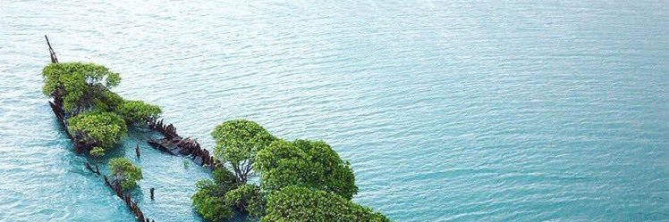 MEeSsh7's profile banner image