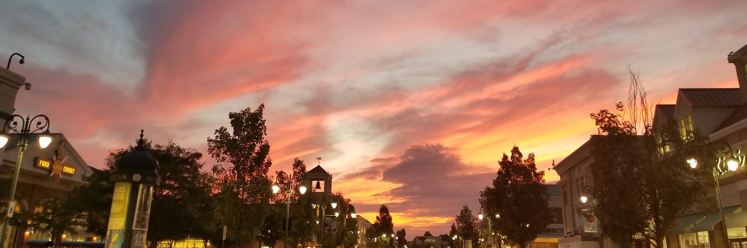 msvgibson's profile banner image