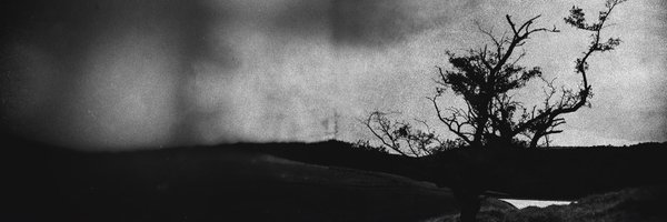 iSquee Profile Banner