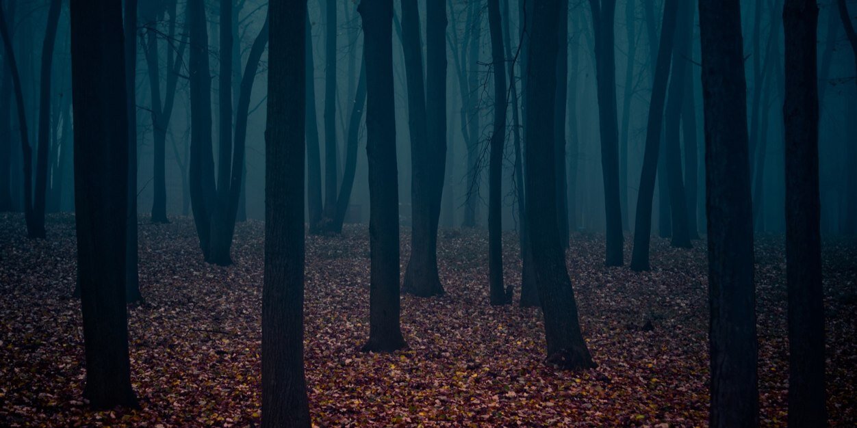 PyrEXES's profile banner image
