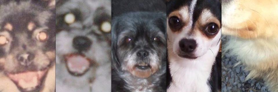 KateMarion's profile banner image