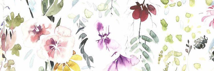 EmilyRWorrall's profile banner image