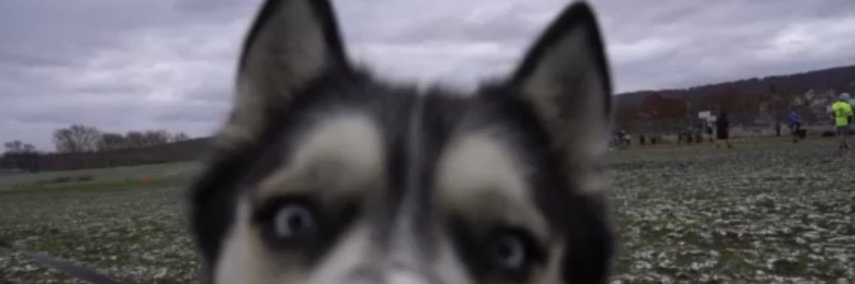 iam_rahj's profile banner image