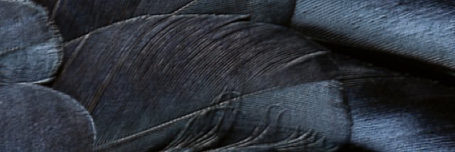 meaj25's profile banner image