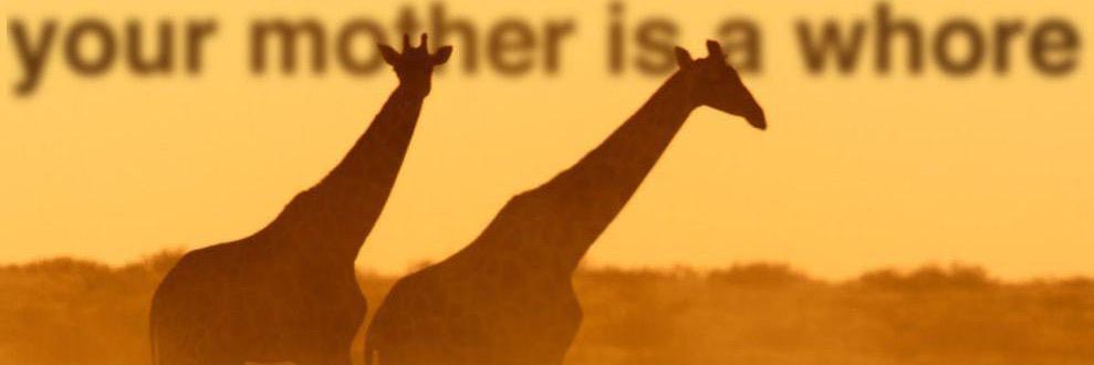 jon_stachecki's profile banner image