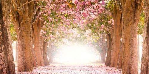 Zrina_MJ's profile banner image