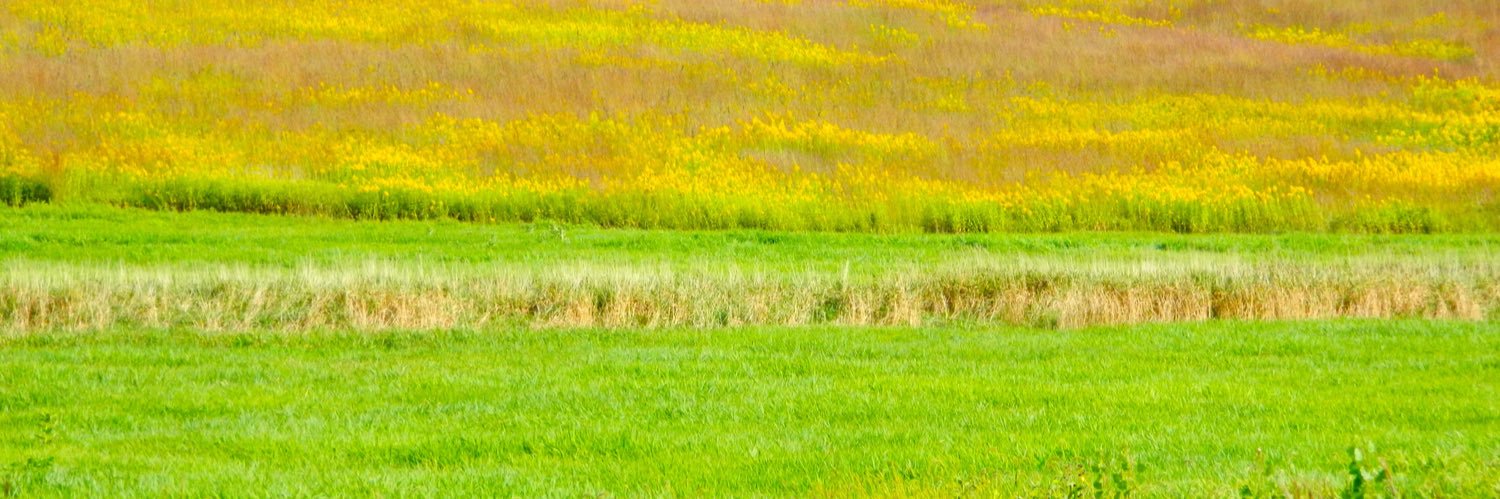 SierraClubNE's profile banner image