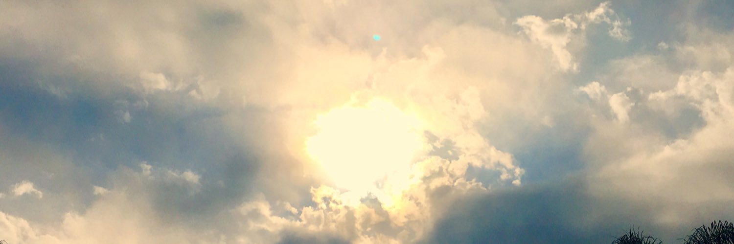 Leora Leon banner