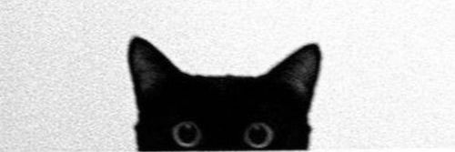 rabarbie's profile banner image