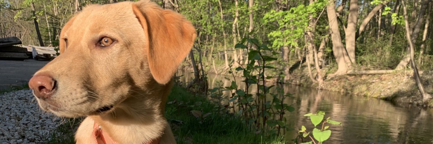 the_fermaniack2's profile banner image