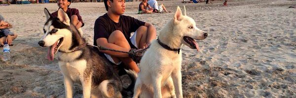 dio_christiant Profile Banner