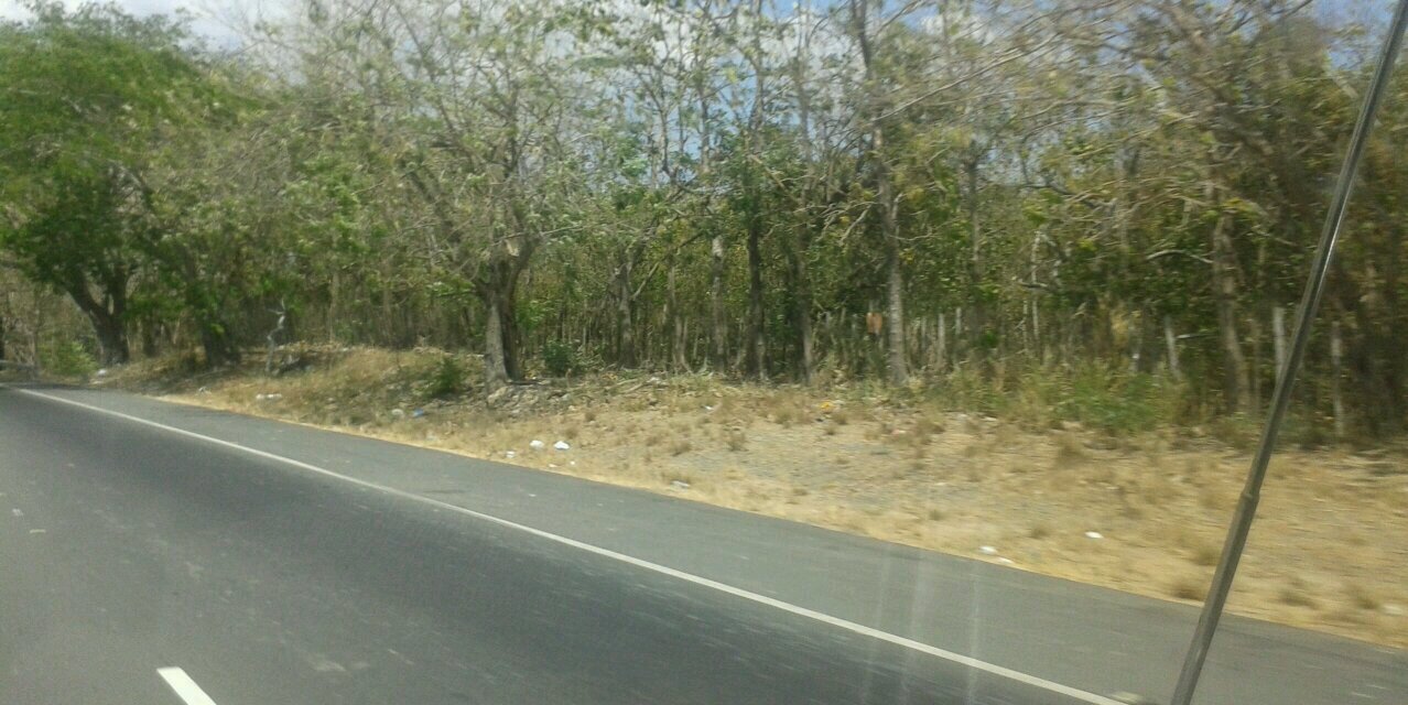 Daniel Navalo Long banner