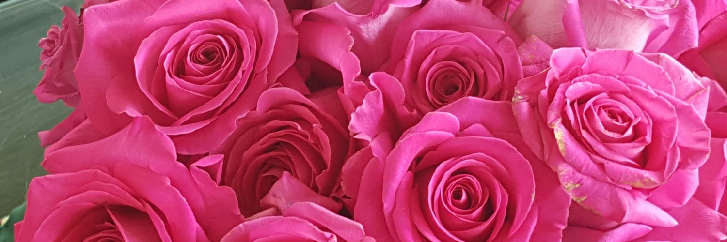 FernandaFebC 😉 banner