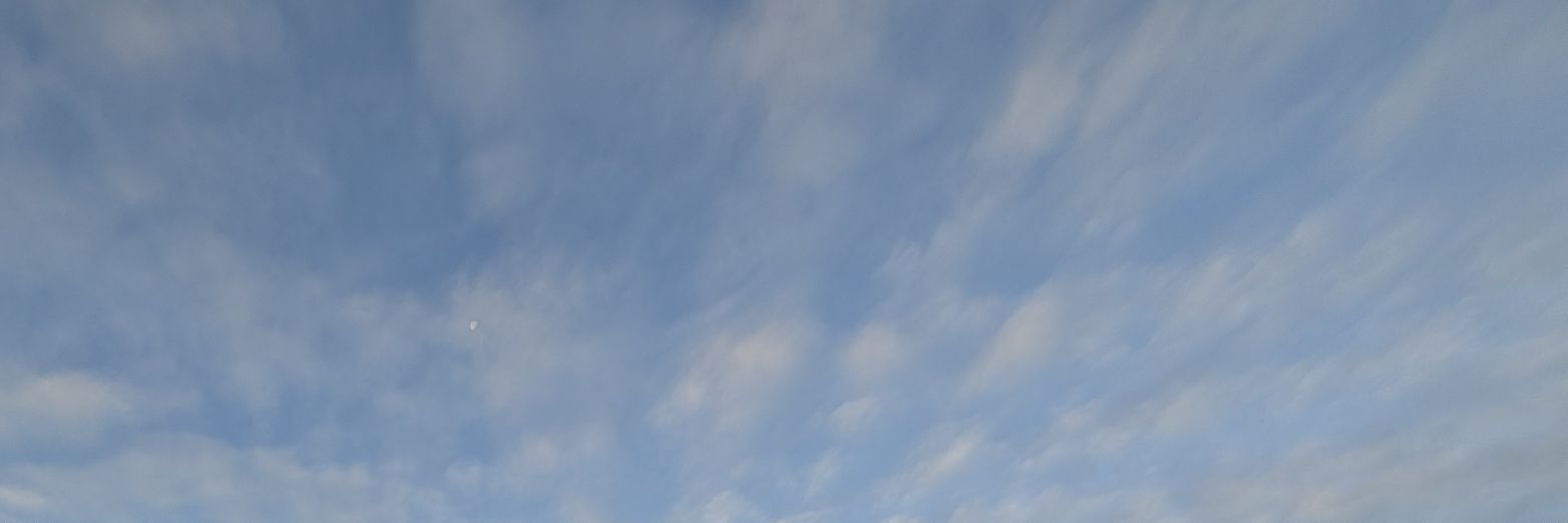 OGLibster's profile banner image