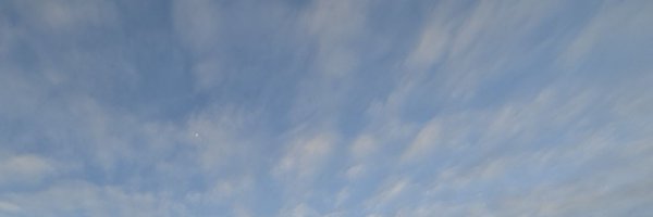 OGLibster Profile Banner