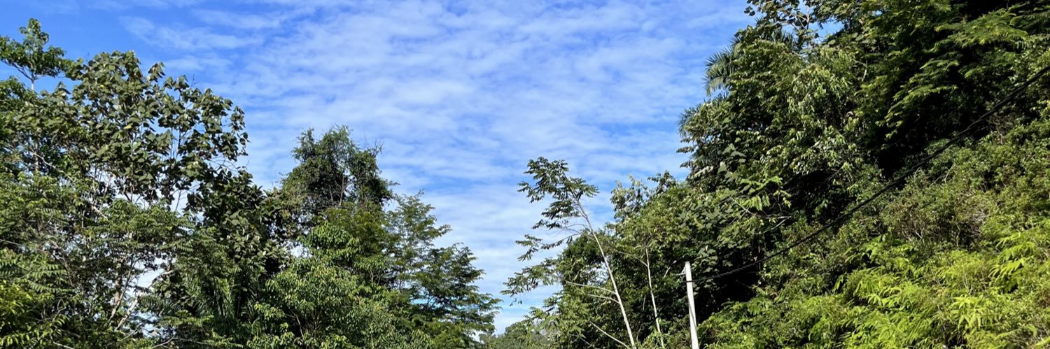 ayidmacwilson banner