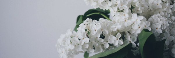 umatoninzin Profile Banner