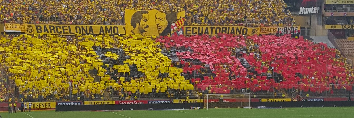 elfabro8's profile banner image