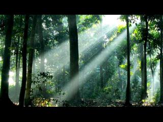 Ayub_182's profile banner image