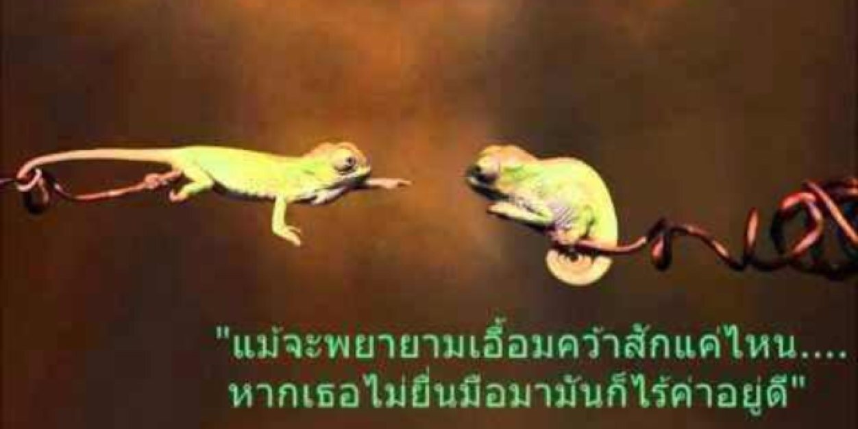 wanwaw banner
