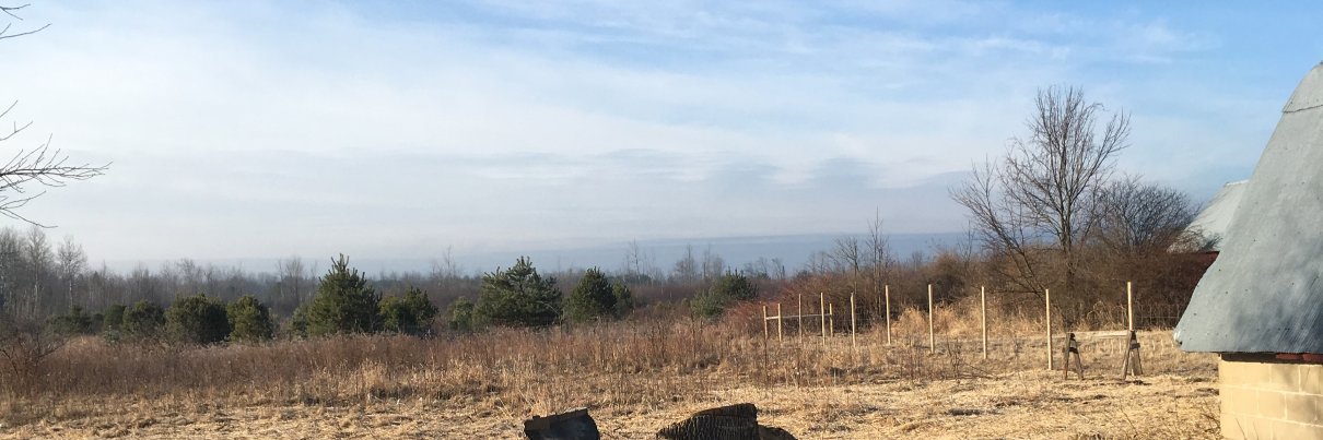 mopo922's profile banner image