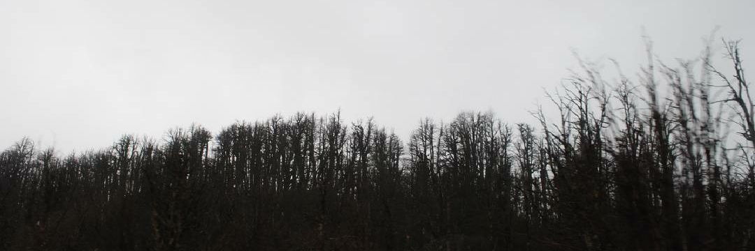 LHenry05's profile banner image