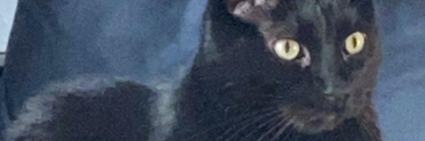 brunchXboy's profile banner image