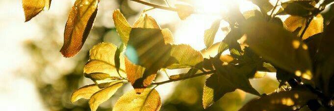 Apriliani_wda's profile banner image