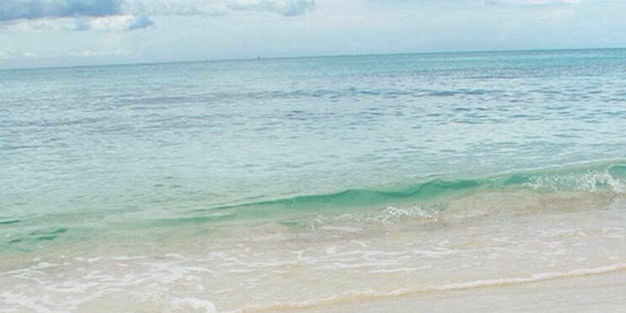 Praew_AO's profile banner image