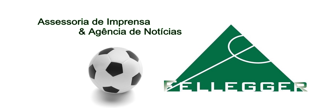 Fellegger Agencia banner