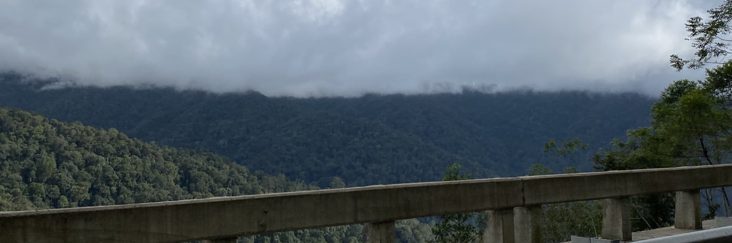 snarlinghate's profile banner image